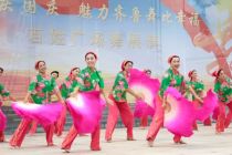 德州《我的家鄉(xiāng)大平原》
