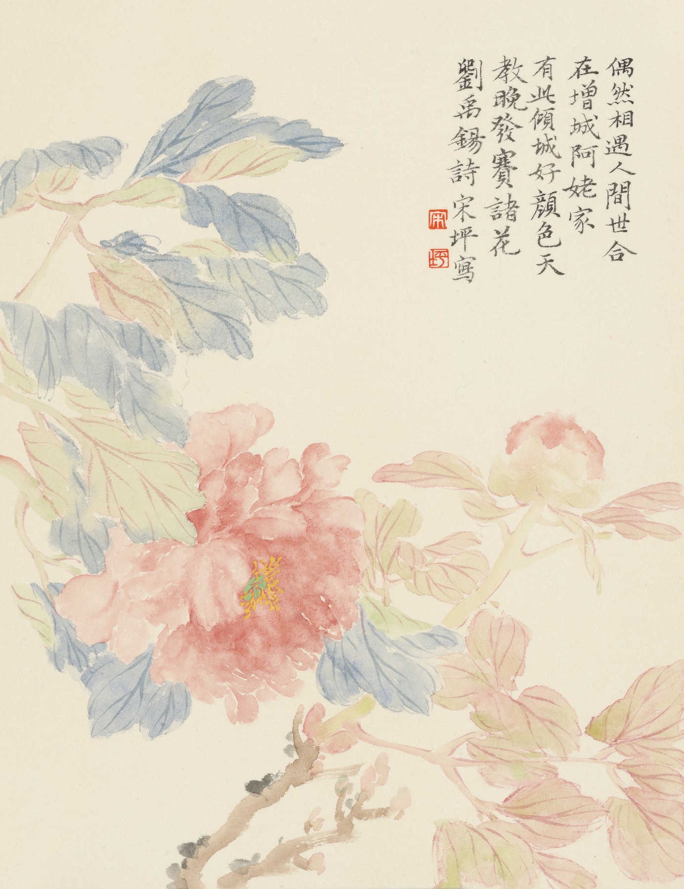 圖片