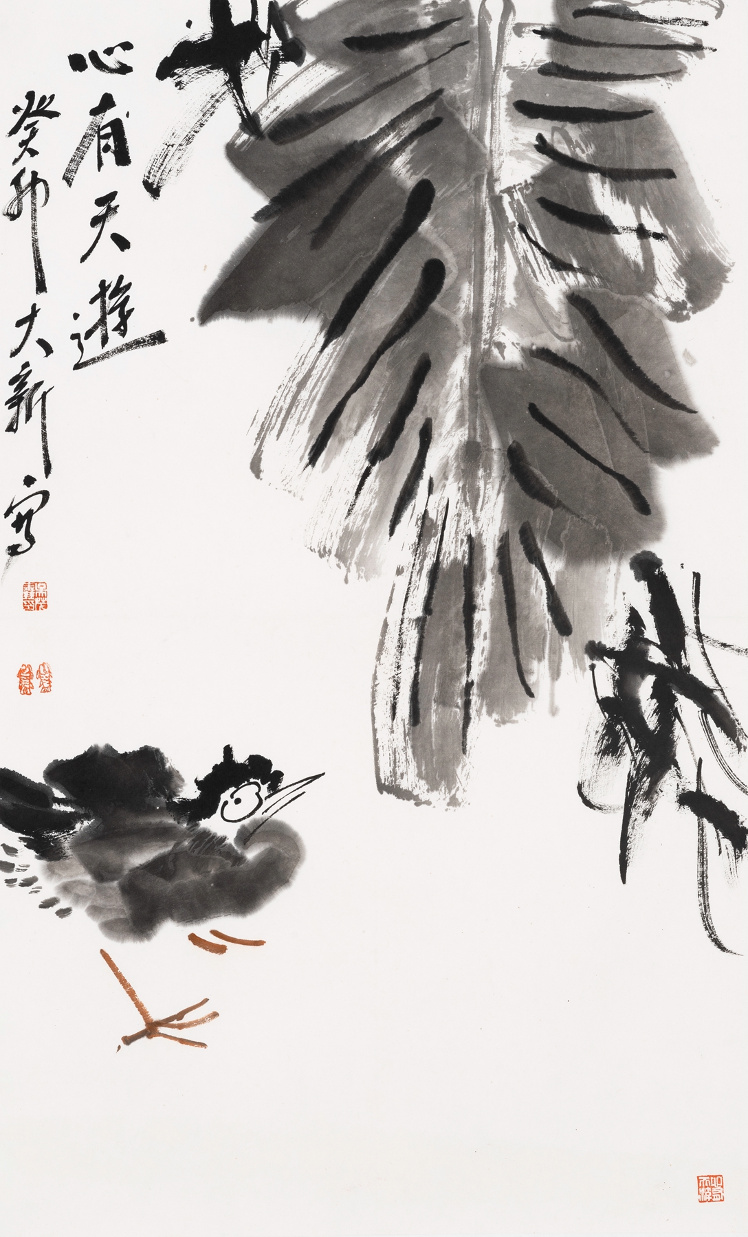 圖片